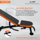 Protoner PB-1008 Adjustable Weight Bench • Metal • Separately Adaptable Beckrest and Seat Angle • Bottom Rollers for Smooth Positioning • 260kg Capacity • Ergonomic Reclining Surface • Adjustable