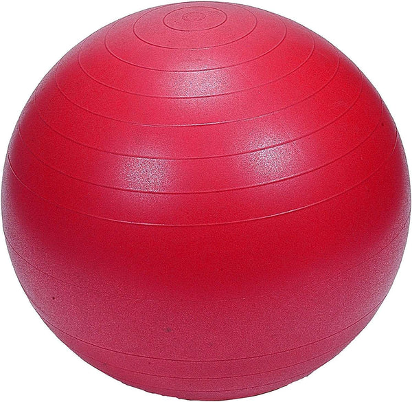 Protoner Gym Ball 65 cms fwith inflating pump Red | Gym Equipment | Home Gym Equipment | Commercial Gym Machines | Strength Training Equipment | Protoners | [2025]