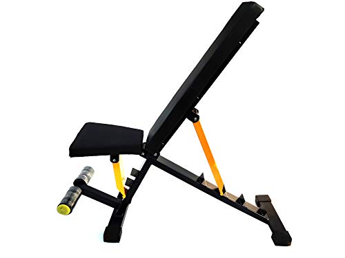 Protoner heavy duty adjustable bench