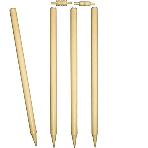 Protoner SPO219 WSG Cricket Stump Set | Gym Equipment | Home Gym Equipment | Commercial Gym Machines | Strength Training Equipment | Protoners | [2025]