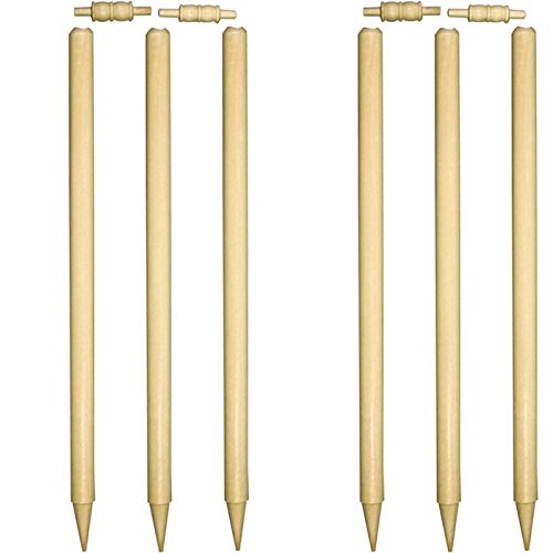 Protoner SPO220 WSG Cricket Stump Set | Gym Equipment | Home Gym Equipment | Commercial Gym Machines | Strength Training Equipment | Protoners | [2025]