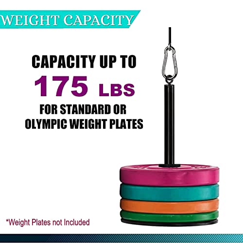Protoner LAT and Lift Pulley System Cable Machine | Gym Equipment | Home Gym Equipment | Commercial Gym Machines | Strength Training Equipment | Protoners | [2025]