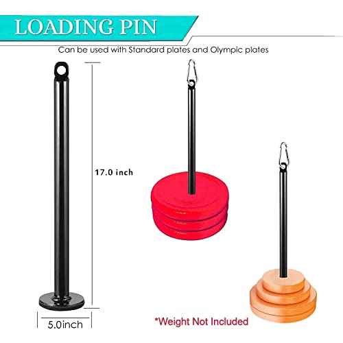 Protoner LAT and Lift Pulley System Cable Machine | Gym Equipment | Home Gym Equipment | Commercial Gym Machines | Strength Training Equipment | Protoners | [2025]