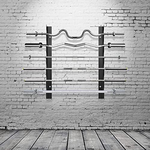 Protoner wall mountable Barbell Rack