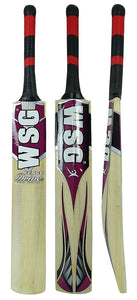 Wsg Fence Drive Kashmir Willow Wooden Full Size Short Handle Cricket Bat