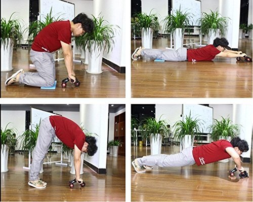 Protoner 3WHEELER 3-Wheel AB Roller | Gym Equipment | Home Gym Equipment | Commercial Gym Machines | Strength Training Equipment | Protoners | [2025]