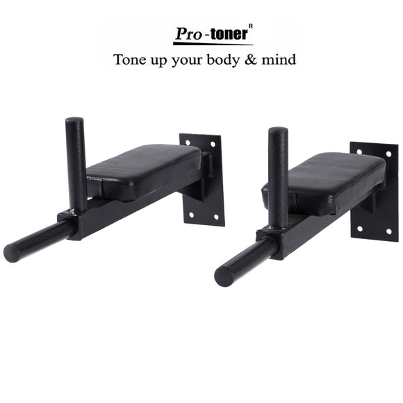 Protoner Wall Mounting Bar for Dips , leg raise and multiple exercises