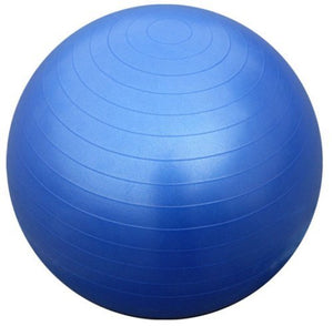 Protoner Gym Ball 65 cms fwith inflating pump Blue